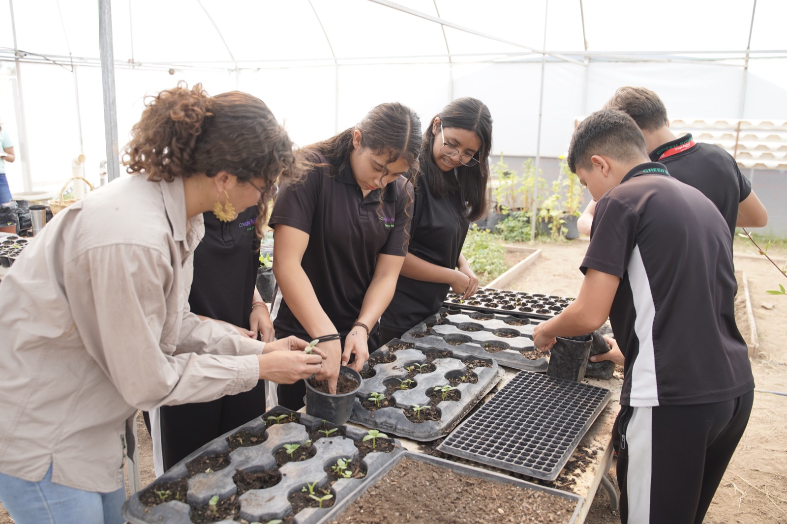 Estudiantes trabajando en el invernadero Green School